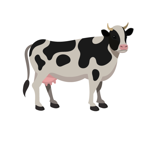 Illustration einer Kuh